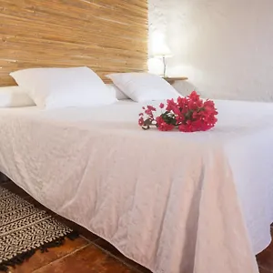 Aloe Vera Casa rural